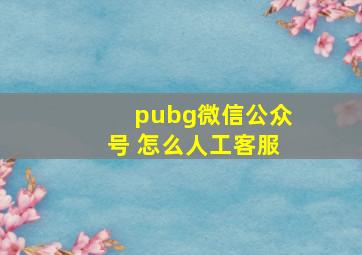 pubg微信公众号 怎么人工客服